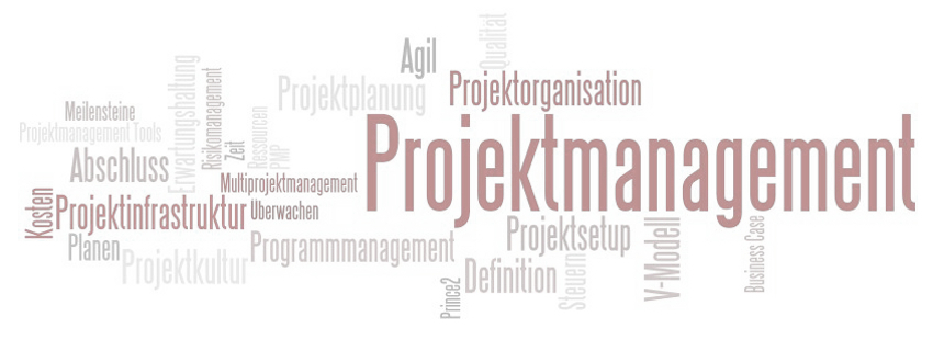 Projektmanagement – und warum Projekte scheitern